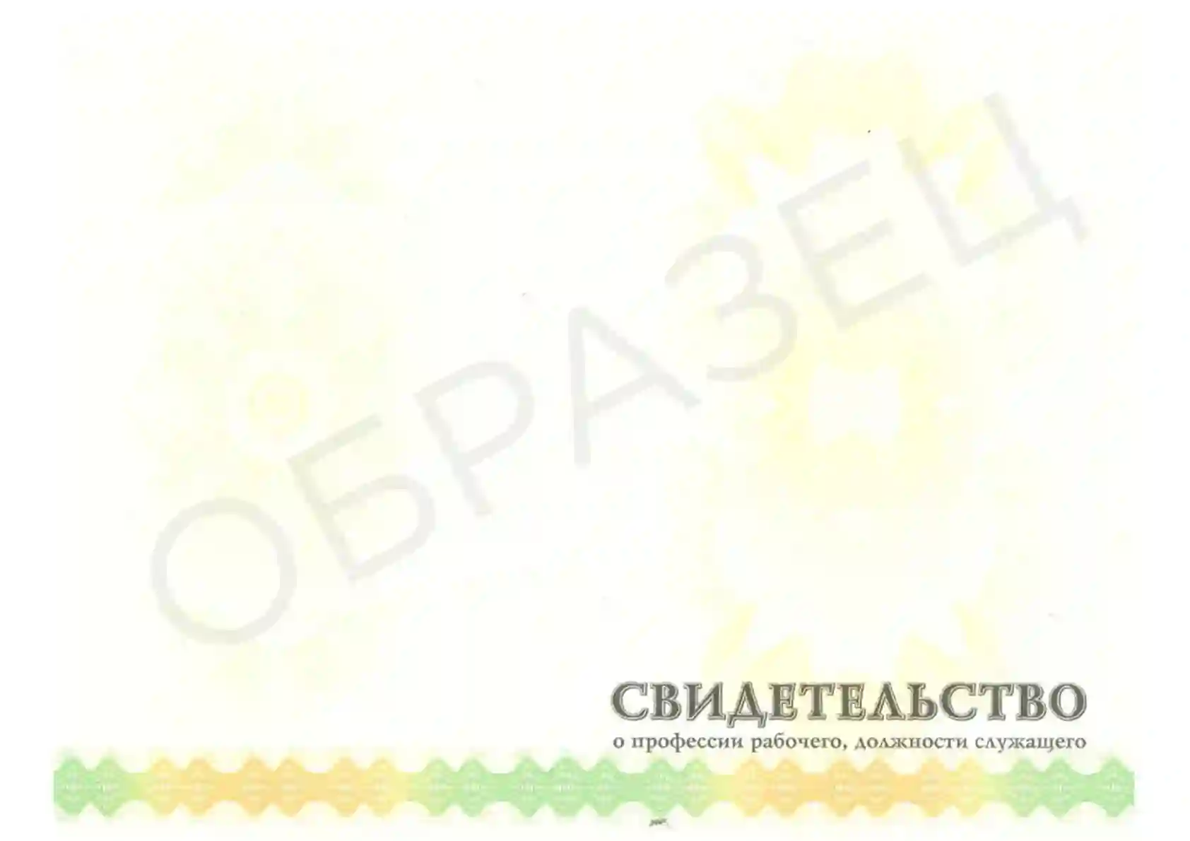 Документ Свидетельство о профессии рабочего (обратная сторона)
