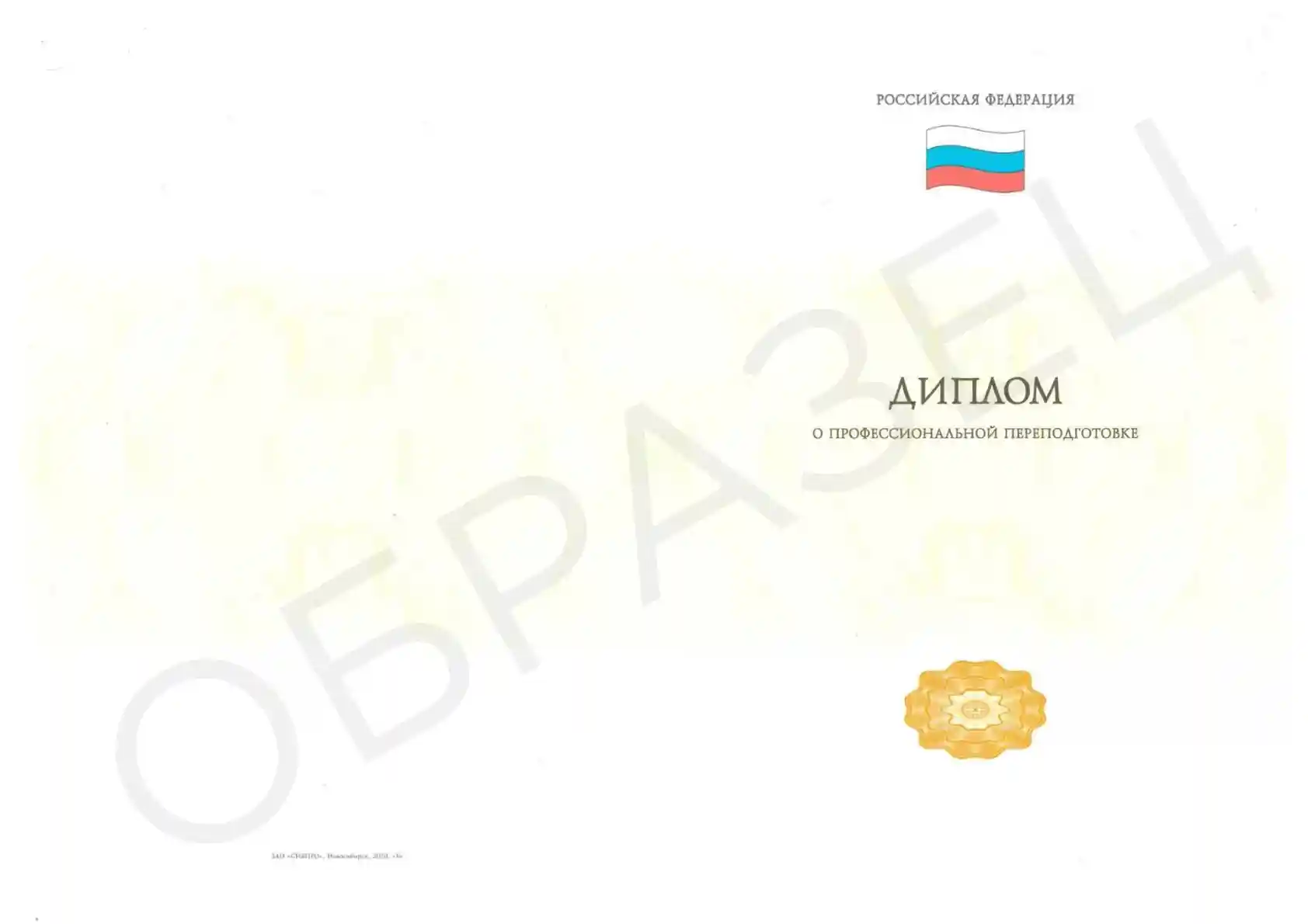 Фото Диплом о профессиональной переподготовке (обратная сторона)
